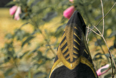 Close-up of bird on plant