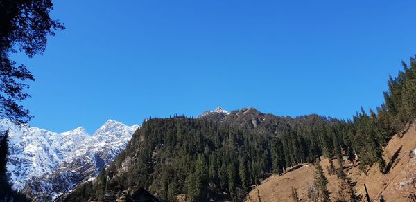 Scenic view of snowcapped mountains against clear blue sky