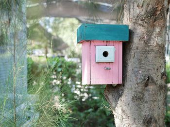 Close-up of mailbox on tree trunk