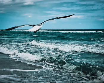 Birds flying over sea against sky