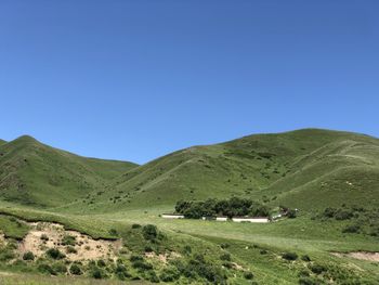 Scenic view of landscape against clear blue sky