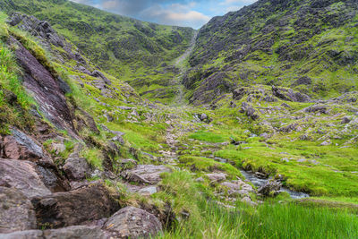 Scenic view of stream flowing through rocks