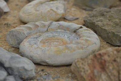 Close-up of stones on rock