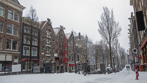 Bare trees by street in city during winter