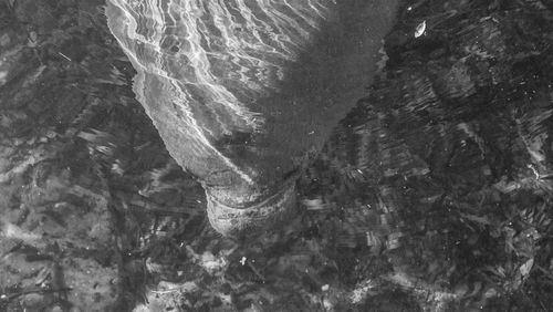 Low angle view of rock formation in sea