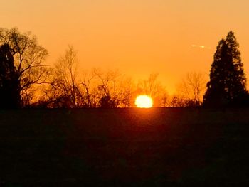 Silhouette trees on field against orange sky