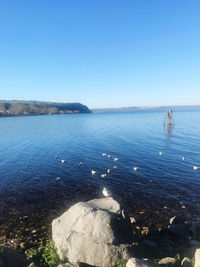 Scenic view of sea against clear blue sky