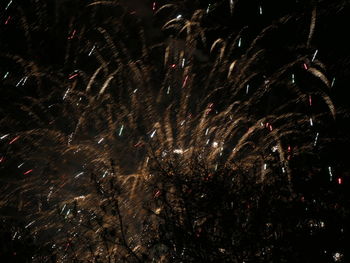 Firework display at night