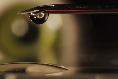 Close-up of water drop on cannula