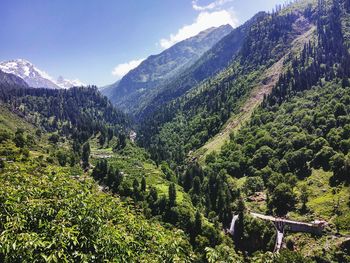 Scenic view of forest and mountains against sky