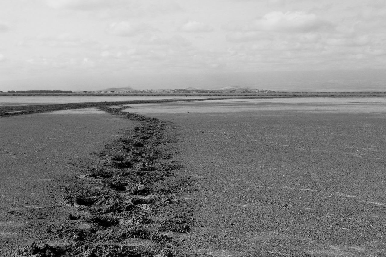 Elephant tracks