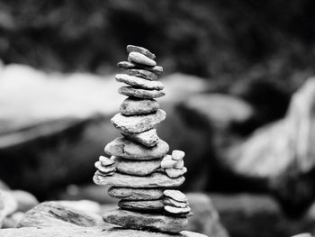 Close-up of chess stack on rock