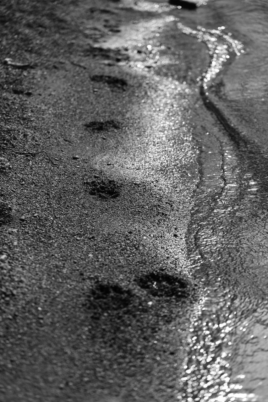 HIGH ANGLE VIEW OF FOOTPRINTS ON WET STREET