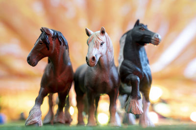 Horse standing on field