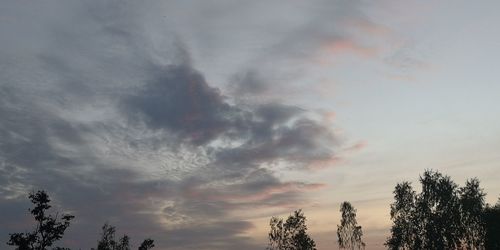 Low angle view of trees against dramatic sky