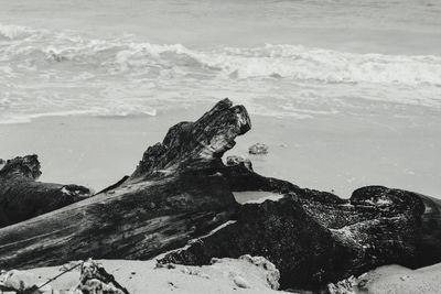 Rock formation on beach