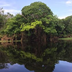 Scenic view of lake by trees against sky