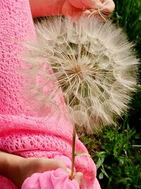 Close-up of hand holding dandelion