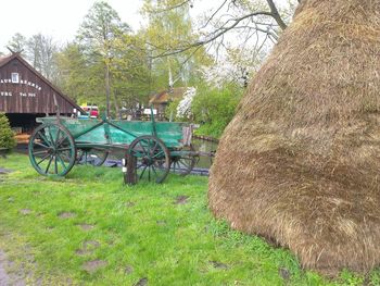 Horse cart on field by trees against sky