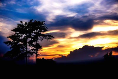 Low angle view of silhouette trees against sky at sunset