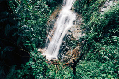 Scenic view of waterfall in forest