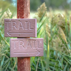 Close-up of sign board on tree trunk