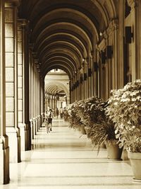 Corridor of building