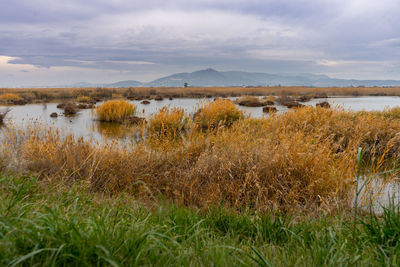 Scenic view of lake against sky