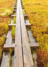 Landscape with wet trees, grass and bog moss during rain, pedestrian wooden footbridge over the bog