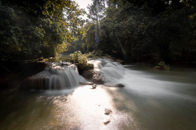 Scenic view of waterfall in forest