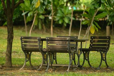 Empty bench in park