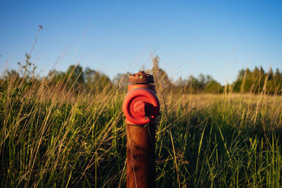 Red fire hydrant on field against sky