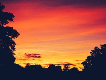 Silhouette of trees at sunset