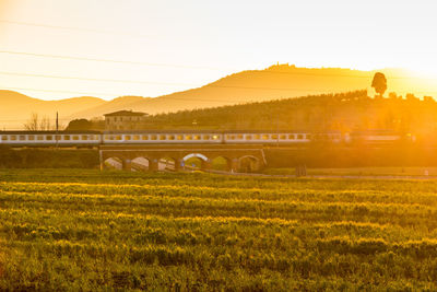 Scenic view of field against sky during sunset