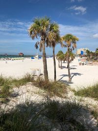 Palm trees on beach against sky