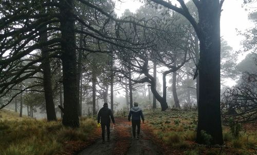 Rear view of people walking on street amidst trees in forest