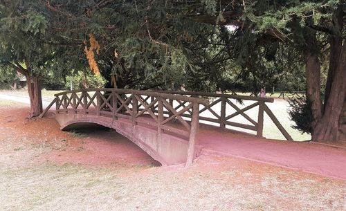 Arch bridge in forest