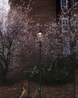 Low angle view of street light