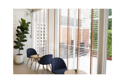 Potted plants on table by window at home