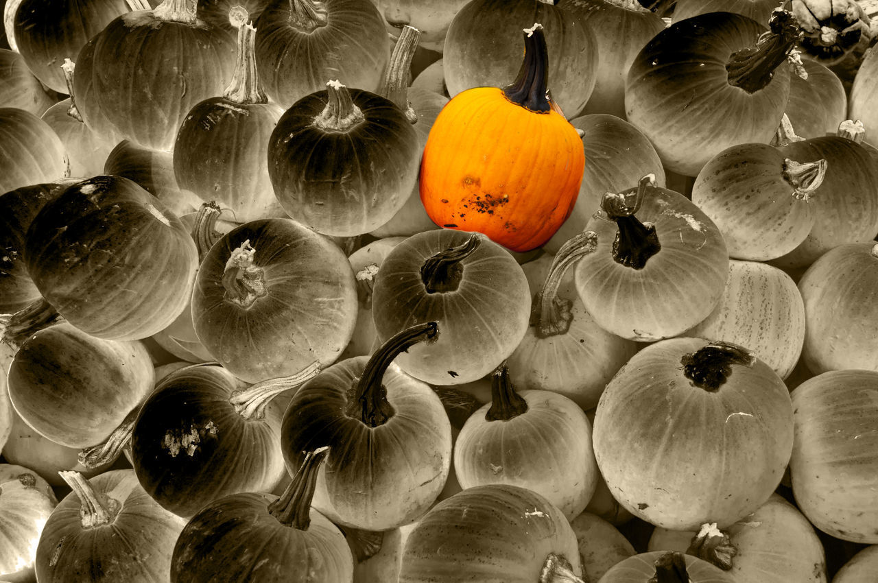 HIGH ANGLE VIEW OF PUMPKINS IN MARKET