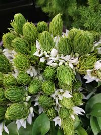 High angle view of vegetables for sale in market
