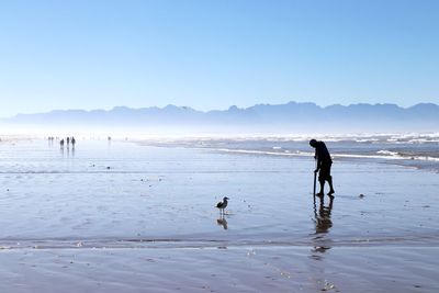 People on beach against clear sky