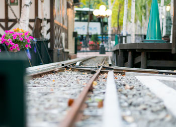 Close-up of railroad tracks by plants