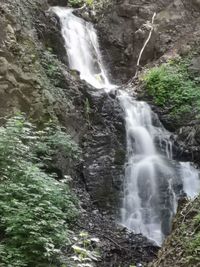 Scenic view of waterfall in forest