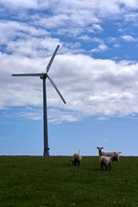 Windmill on a field