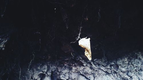 Close up view of cave