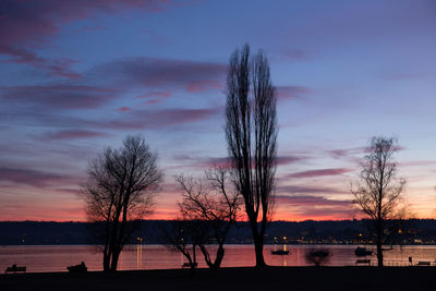 Silhouette trees on beach against sky during sunset