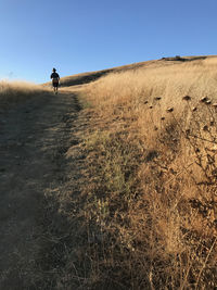 Rear view of man riding on sand dune