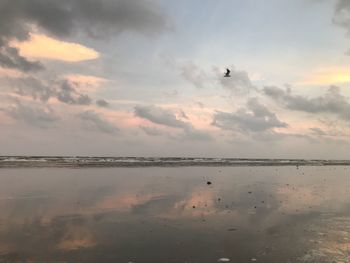 Birds flying over sea against sky