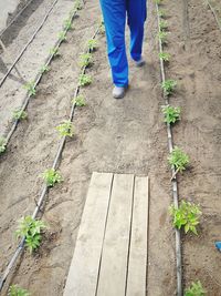 Low section of woman walking on tiled floor
